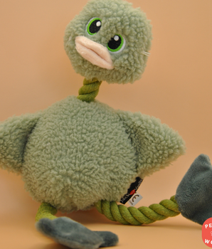 Mr. Duck