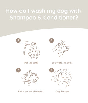 2-in-1 Shampoo & Conditioner