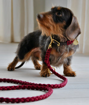 Burgundy Paracord Leiband