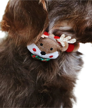 Rudolf Accessory (XS-S)