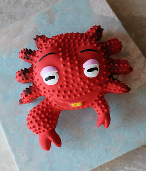 Sebastian Crab