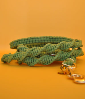 Asti Leash