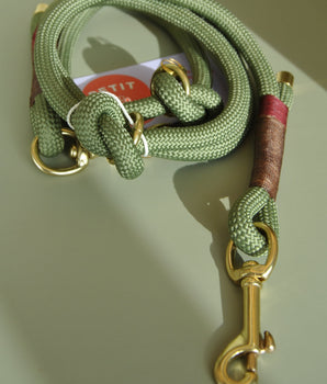 Rome Leash