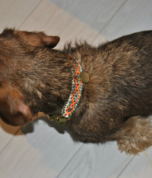 Collar Summer "Pipa" (S)