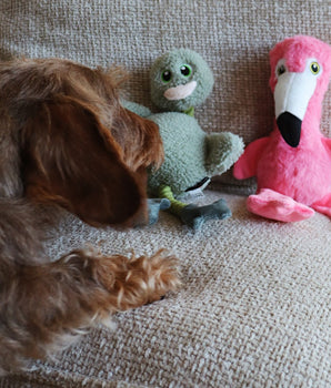 Mrs. Flamingo