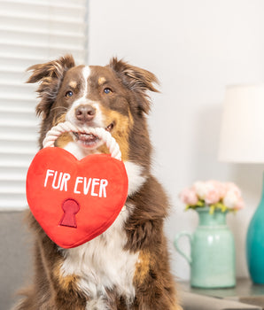 Fur Ever