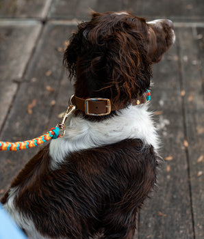Palermo Collar