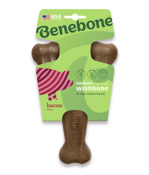 Bacon Chew (M)
