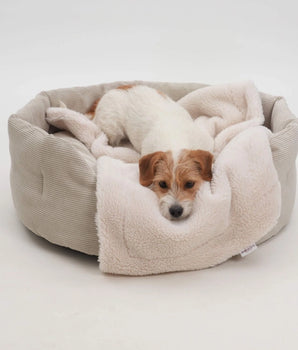Wexford Bed