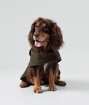 Barbourlette