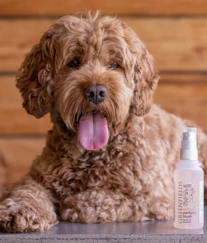 Flower Power Dog Perfume