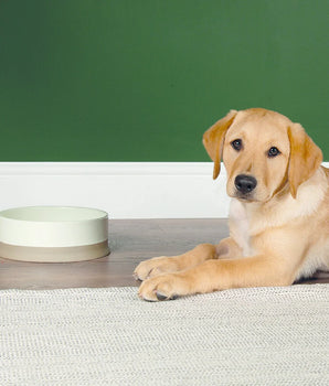Ceramic eating and drinking bowl
